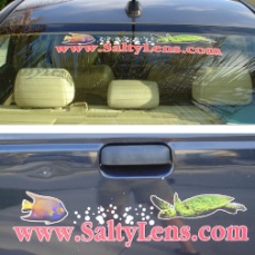 salty_lens_decals.jpg